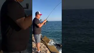 Un pez inesperado🎣#fishing #huelva #pesca #parati #viral