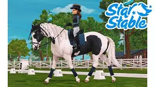 Star Stable Dressage Tutorial 💙 Fundamentals of Gaps and Alignments