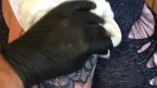 Кавер роза на руке https://www.instagram.com/tarantultattoo