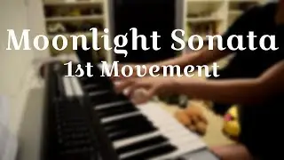 Beethoven - Moonlight Sonata (1st Movement) - NateDawgOfficial Cover