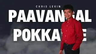 Paavangal Pokkavae