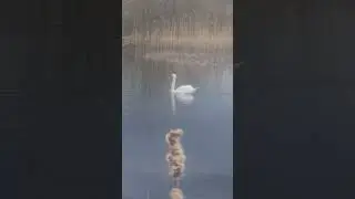 Сабское озеро.