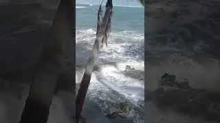 Oceano Atlántico ahora👀