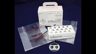 BioTransport contenitore monouso per il trasporto dei campioni biologici (provette, tamponi)