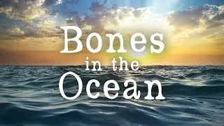 Bones in the Ocean (The Longest Johns Cover) | Freya Catherine [Epic Orchestral]