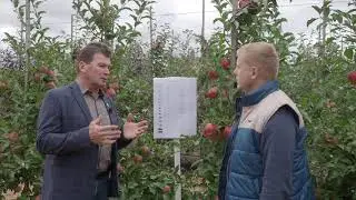 Защита садовых насаждений в ООО "Агрофирма "СадМашСервис"
