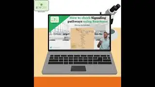 How to check Signaling Pathways using Reactome 