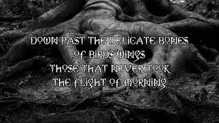 Mariee Sioux - Buried in Teeth Lyrics