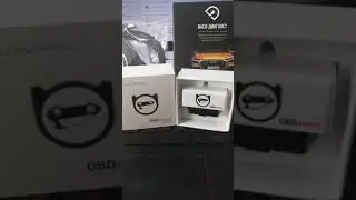 Вася Диагност или OBDeleven? Сравнение. Что выбрать?
