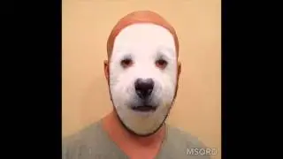 #VertexFun