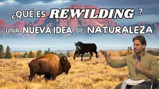Difference between rewilding and ecological restoration | Nature Conservation Forum