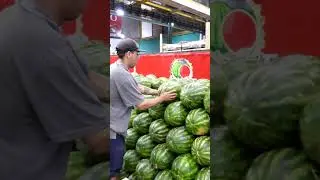 COMÉ DE ESTACIÓN: 🍉 SANDÍA Y 🍈 MELÓN