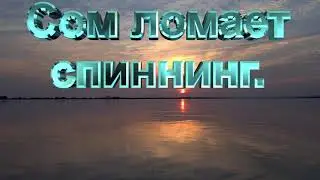 Сом ломает спиннинг! От такой рыбалки не выдерживают снасти!!!