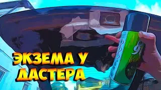 Дастер подцепил ЭКЗЕМУ!