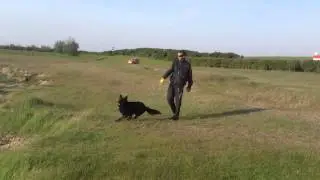 Jasso van 't Enclavehof