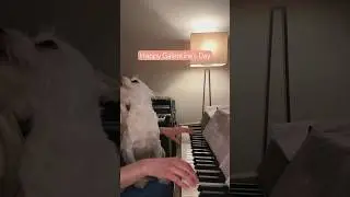 Happy Galentine’s Day! 💖#galentinesday #parksandrec #tvthemesongs #tv #dogsofyoutube #wurlitzer