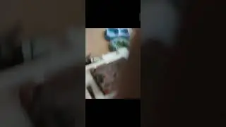 queimando madeira (1)
