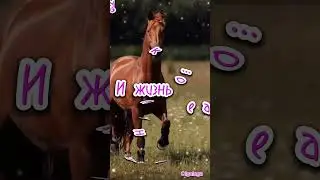 Доброе утро!!!☀️