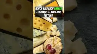 Did you know this about Cheese? 