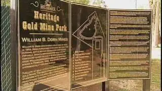 Goldmining in McCormick