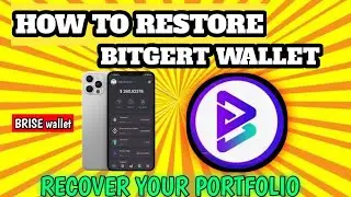 How To Restore Bitgert (BRISE) Wallet Without Being SCAMMED | Recover Your Portfolio 💯