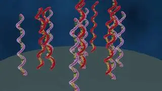 DNA microarray forklaret (dansk tale)