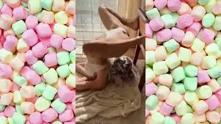 Japanese Massage Techniques ｜ Back Pain Therapy Massage For Plus Size Japanese Women [S4841j5cGRQ]