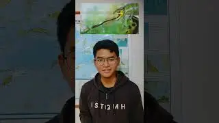 Apa Sih Perbedaan Ketiga Hewan Ini???