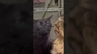 Когда тебя учат играть в 