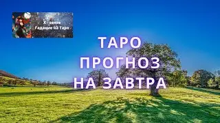 На что стоит обратить внимание ЗАВТРА? Что надо знать? 