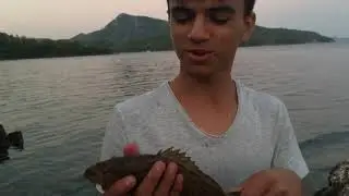 Marmaris Hisarönü At Çek Balık Avı