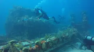 Marie Celestia Dive 2017 - Raw and Uncut Scuba Diving in Bermuda