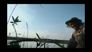 НАЛОВИЛ КУЧУ РЫБЫ