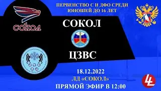 Сокол - ЦЗВС. ЮХЛ. 18.12.2022.