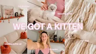 WE ADOPTED ANOTHER KITTEN!!🐈💕✨ Adopting a 3rd kitten, decorating for fall, life update 