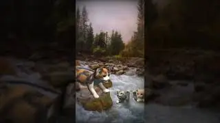 Cat Simulator Animal Life|КЛИП|