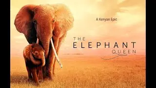 Q&A with the Director's of The Elephant Queen