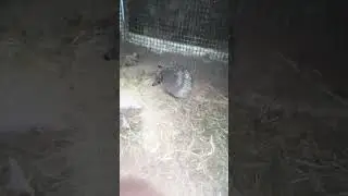 Та бл..