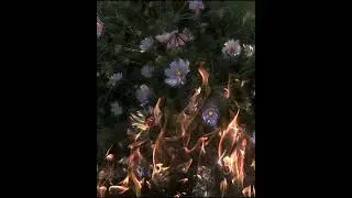 (FREE) destroy lonely x lil uzi vert type beat “looseleaf” (prod. shxnk)