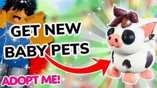 How To Get NEW BABY PETS in ADOPT ME ROBLOX | Adopt Me! Summer Festival