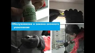 Замена и уход за уплотнителями на ПВХ окне.  Установка уплотнителя Schlegel Q-Lon.