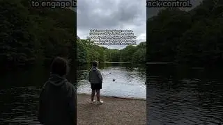 No ducks were harmed in the making of this video 🦆❤️
