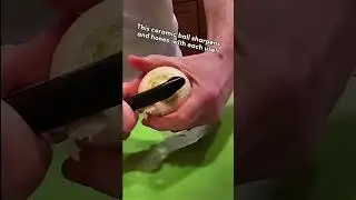 Self Sharpening Peeler - Dreamfarm Sharple