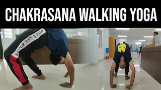 Chakrasana Walking | Benefits | Audien Tv | #yogachallenge #yogapractice #yoga #yogalife #fitness