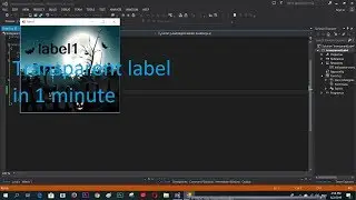 How to make label background transparent C#