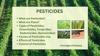 Pesticides| Pests| Types: Insecticides, Fungicides, Herbicides, Rodenticides| Uses| Effects| Control