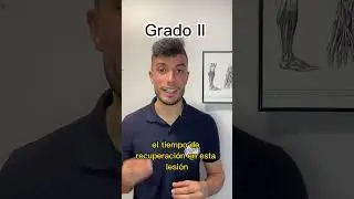 ¿Cuanto tarda en cicatrizar una rotura de fibras?