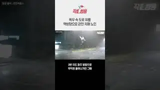 기록적인 폭우에 치매 어르신 구한 두 경찰 #shorts