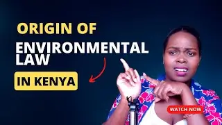 The origin of environmental laws