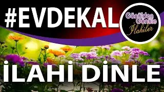 #evdekal